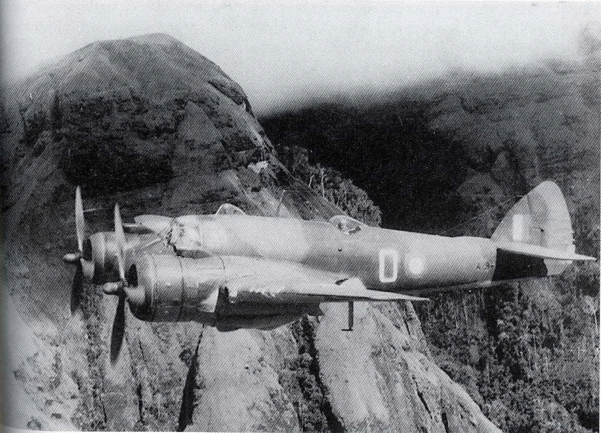 RAAF 30 Sqd Beaufighter (PNG).jpg