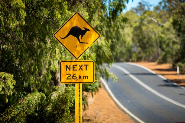 RooWildlifeSign.jpg