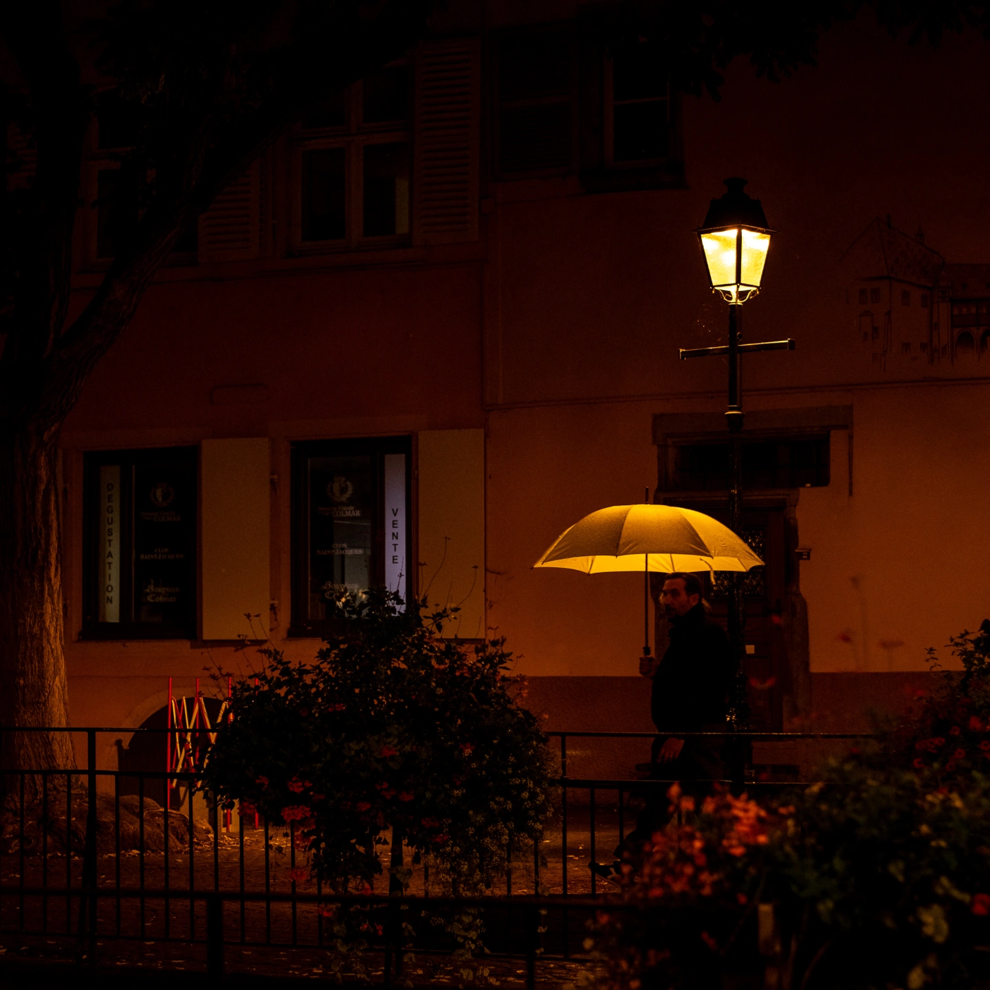 Colmar (247 of 1).jpg