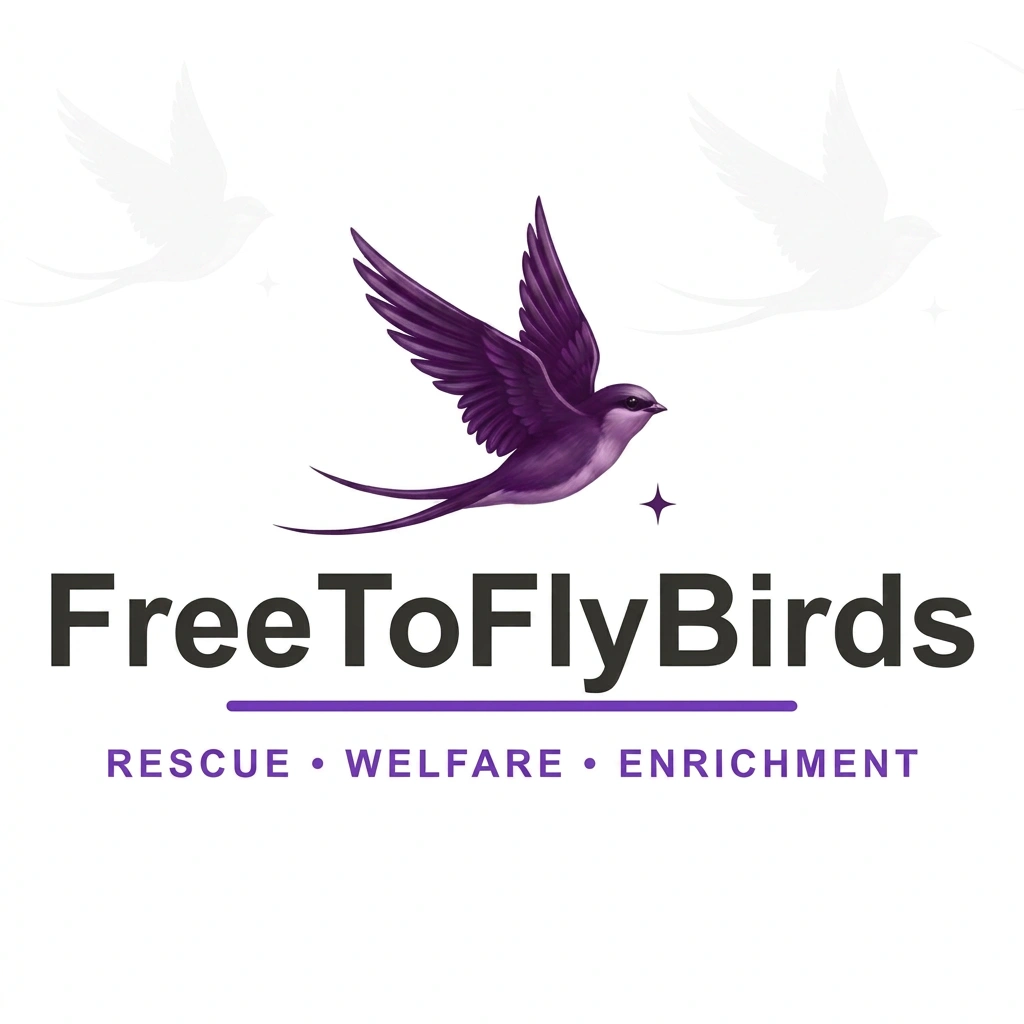 Free To Fly Birds