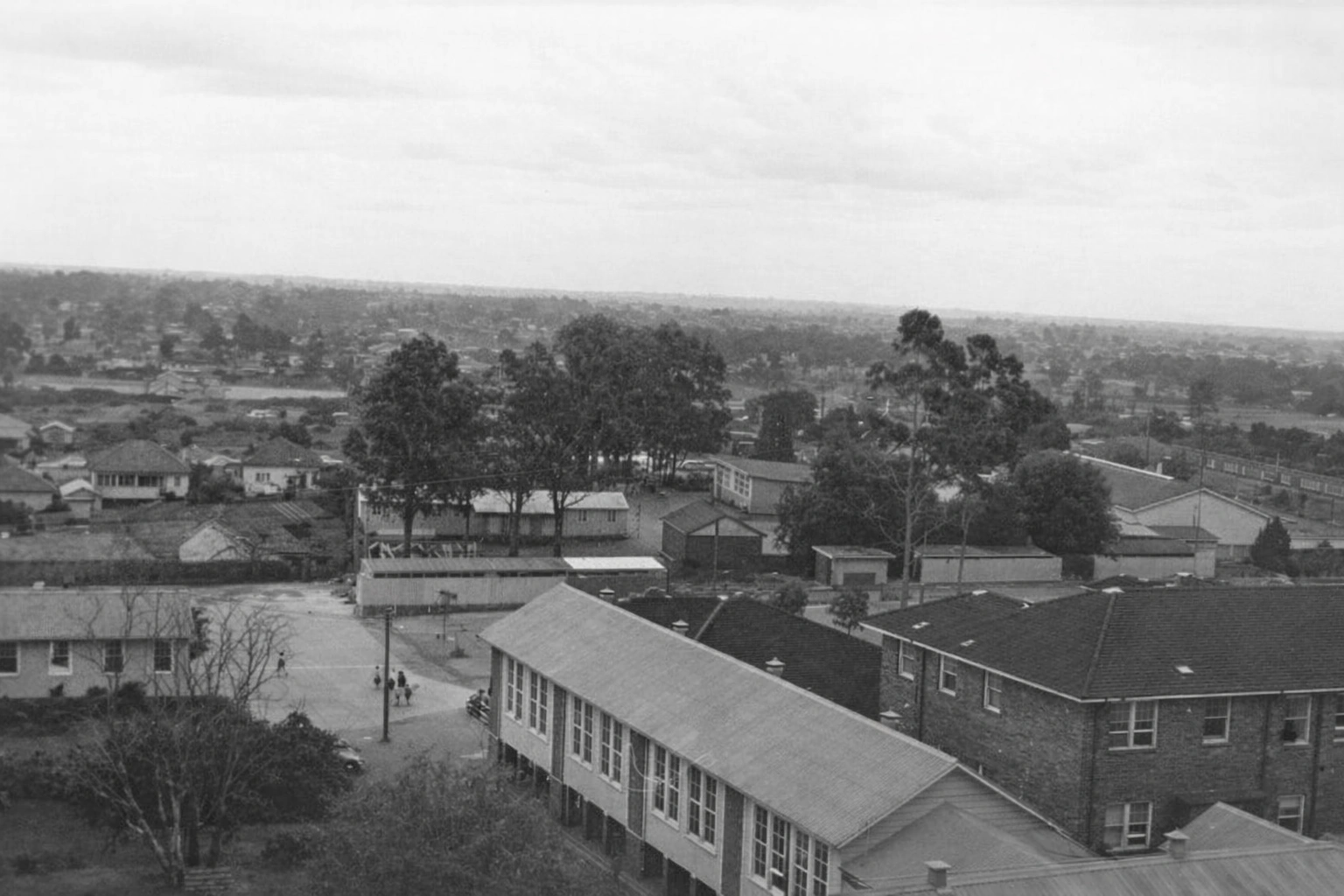 ChatGPT Image Feb 22, 2026, 08_11_43 AM.png