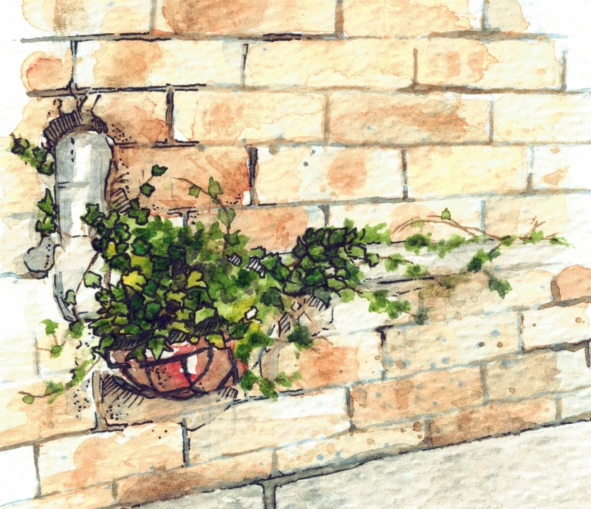 wall plant  cropped opy.png