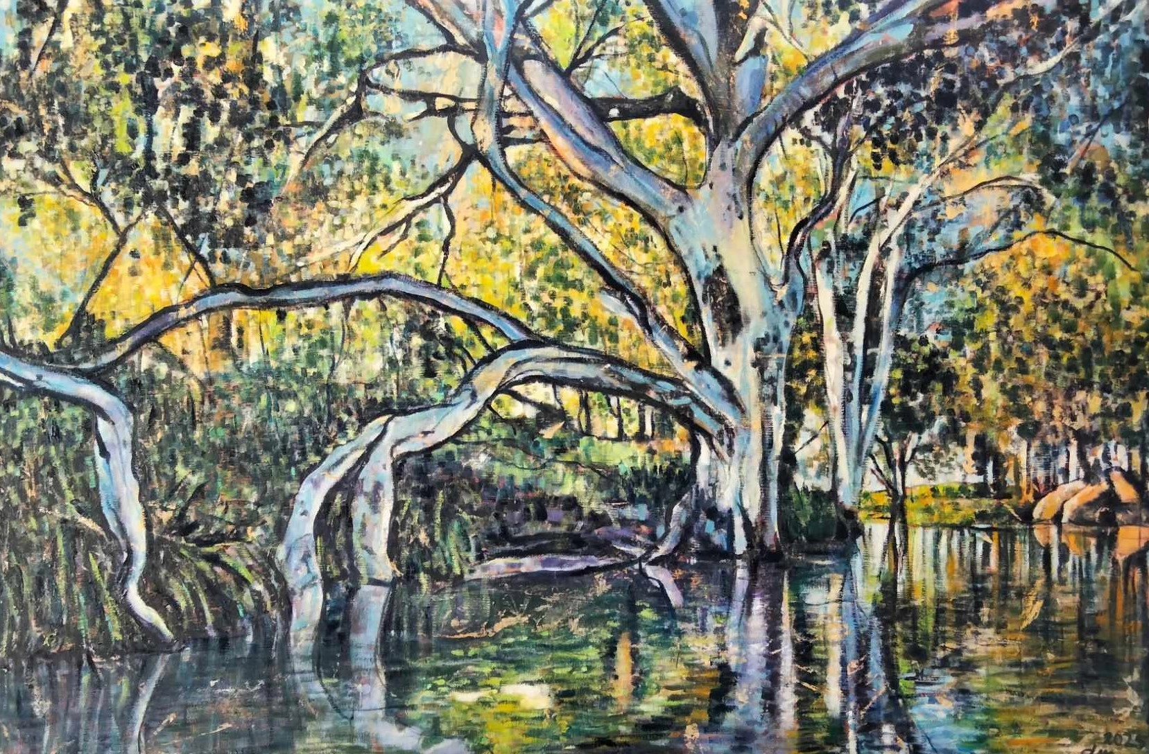 The Condamine River.jpg