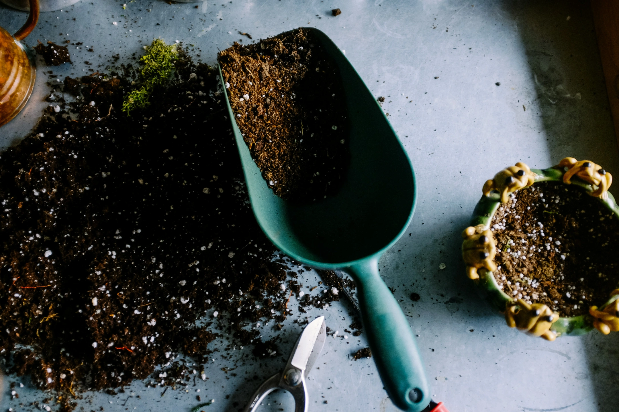 Soil health and improvement.jpg