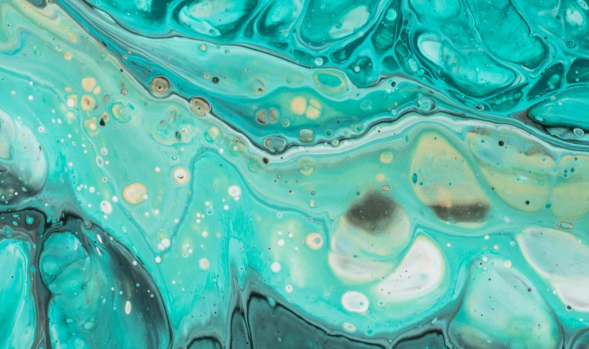 banner-1930x1145.jpg