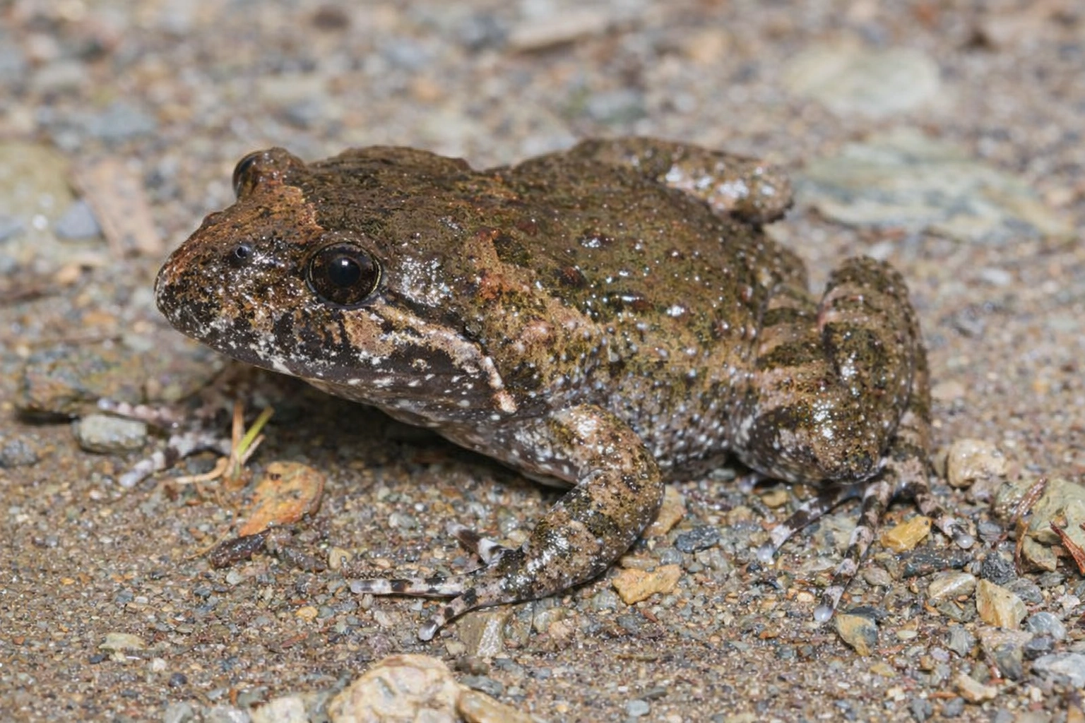 ChatGPT Image Feb 28, 2026, 08_38_32 AM.png