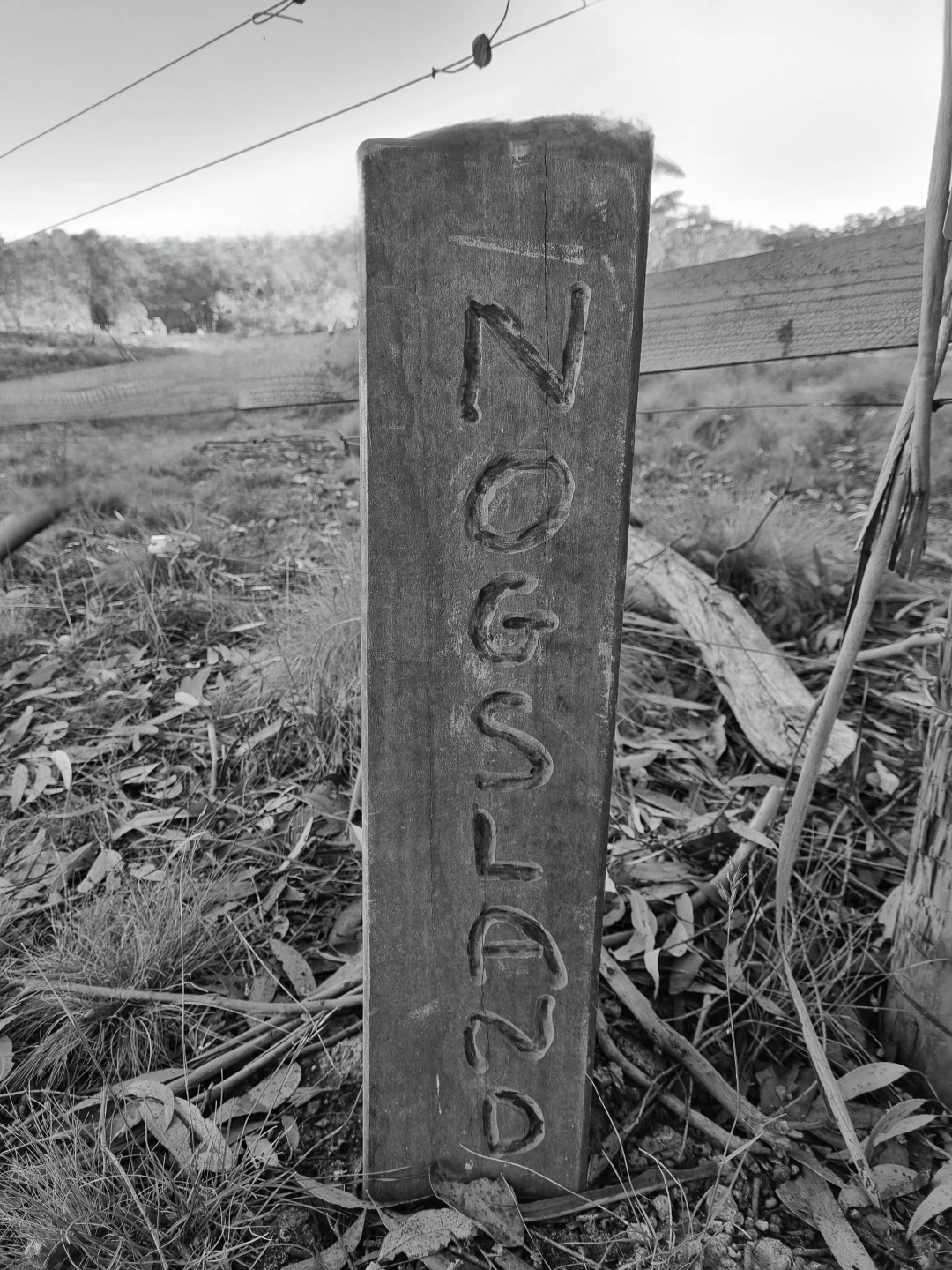 Nogsland design services