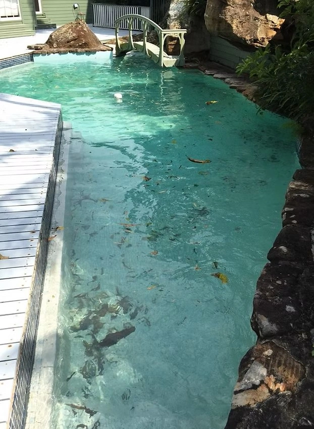 epic swim bf 1.jpg