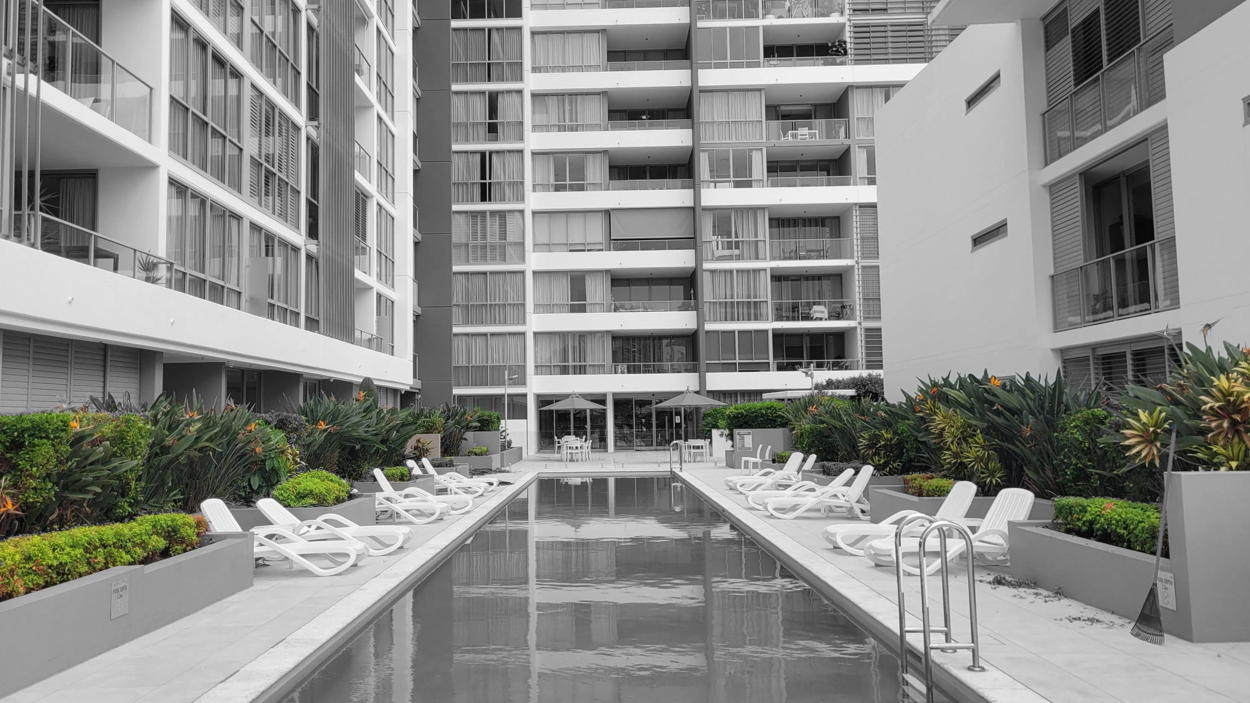 Ultiqa hedge trim and maintenance.JPG