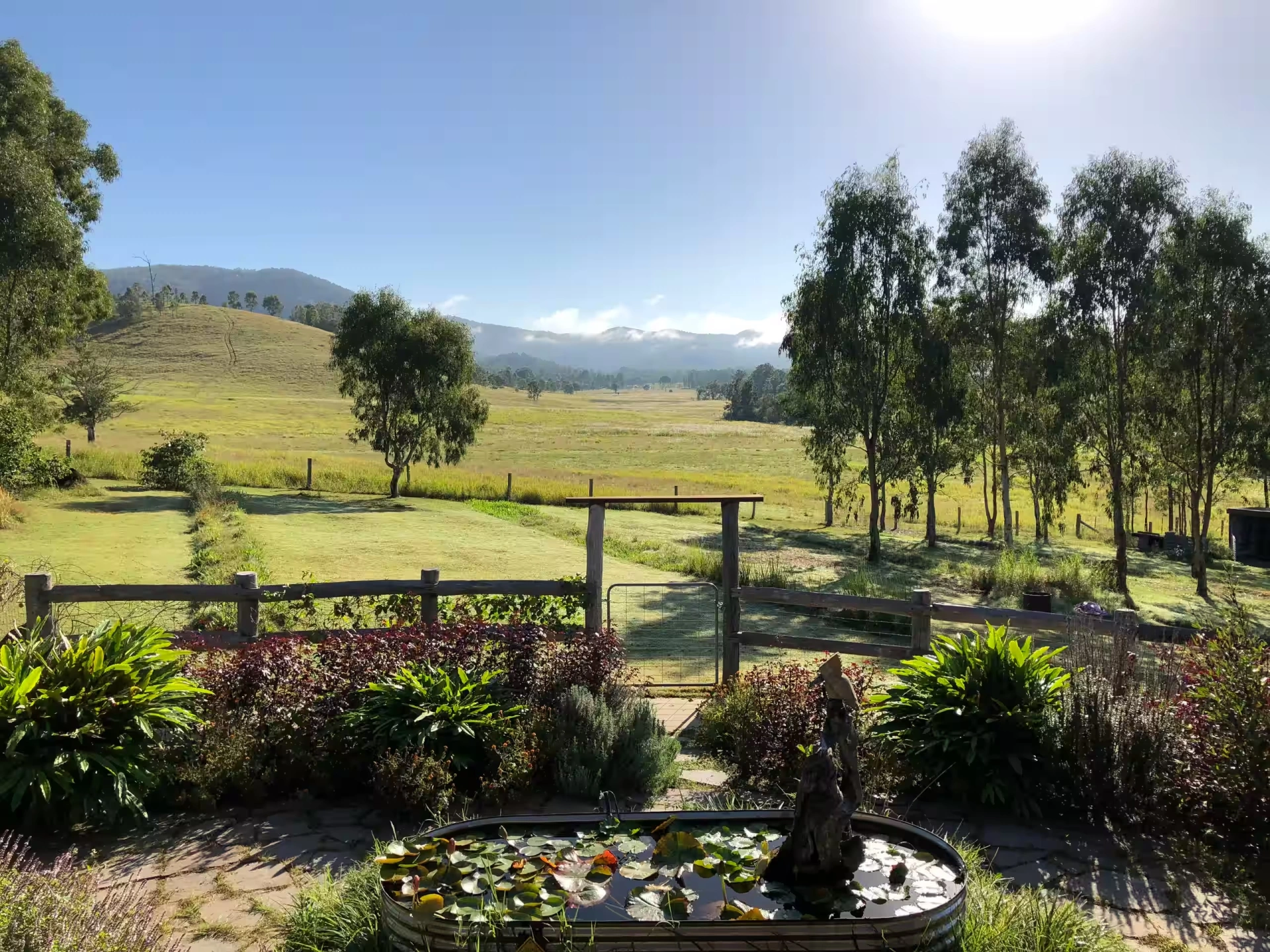 back garden.jpeg