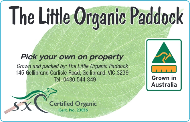 The Little Organic Paddock