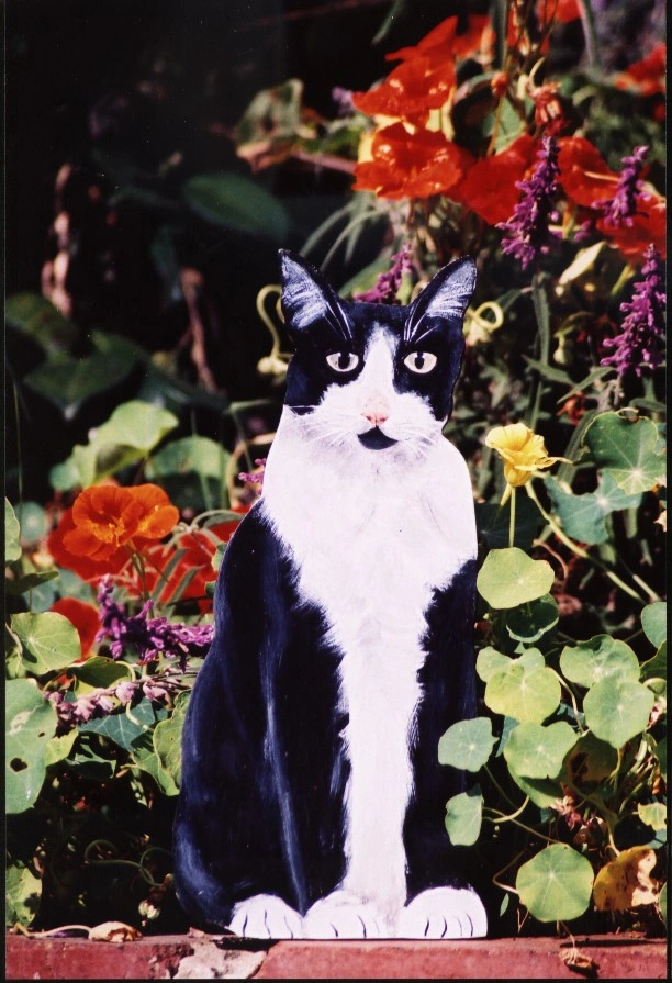 Cat - Black and White - $40.00.jpeg
