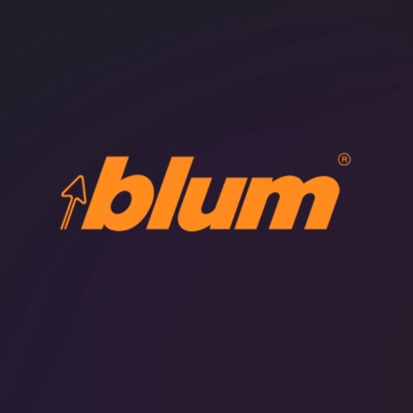 blum logo.png