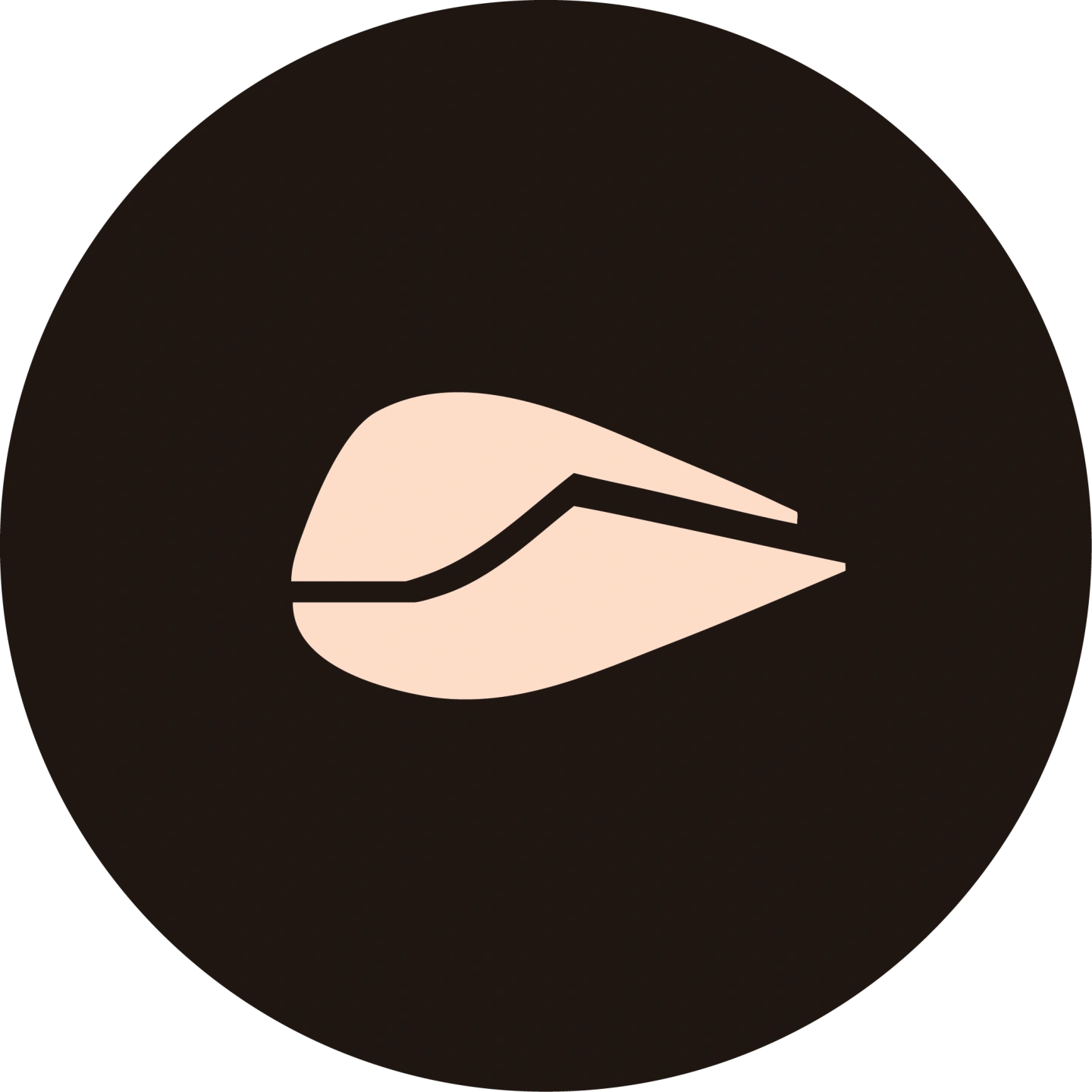 IconsNewOrange-08.png