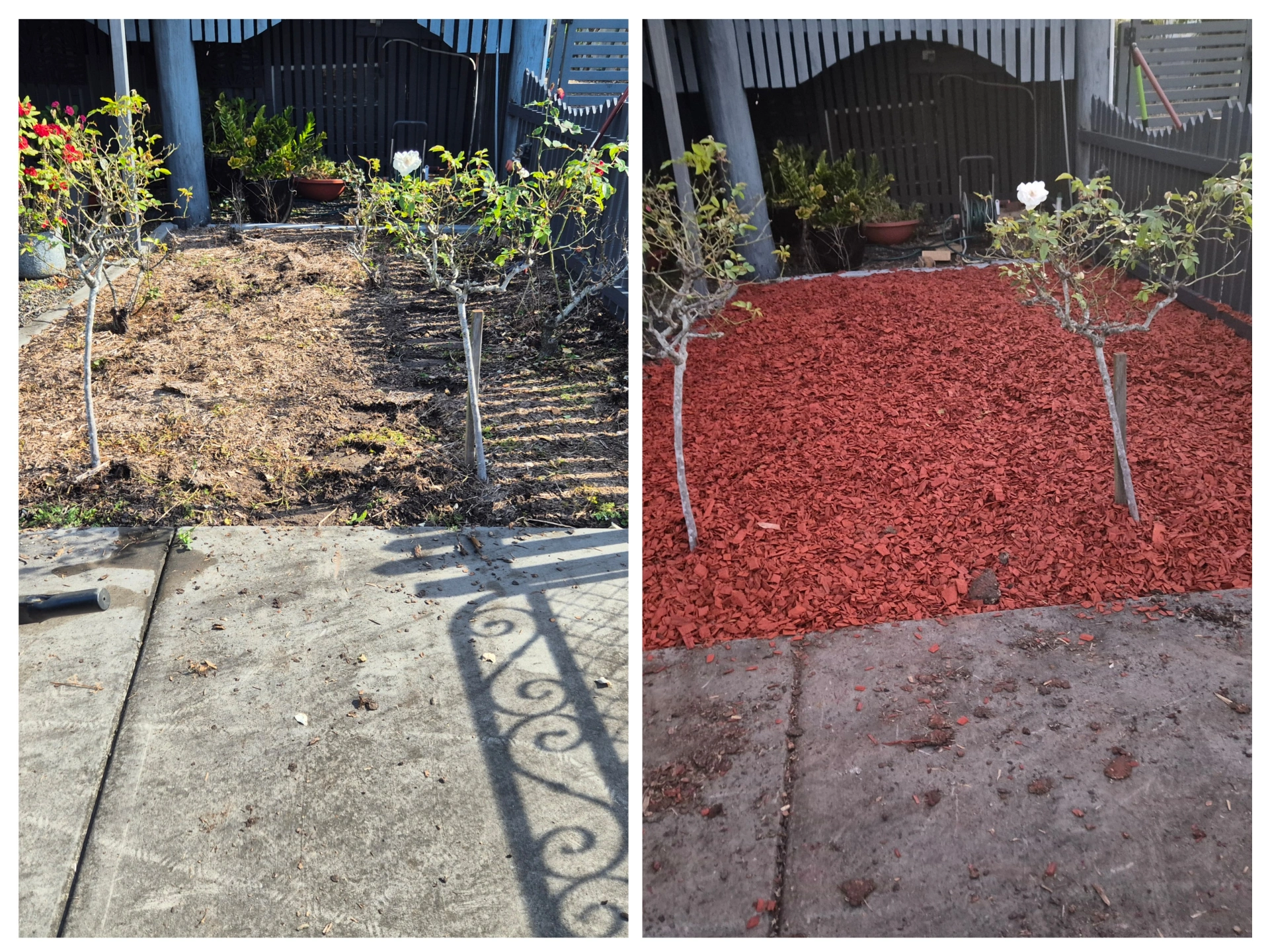 Garden Makeover in Rosewood - Near Ipswich