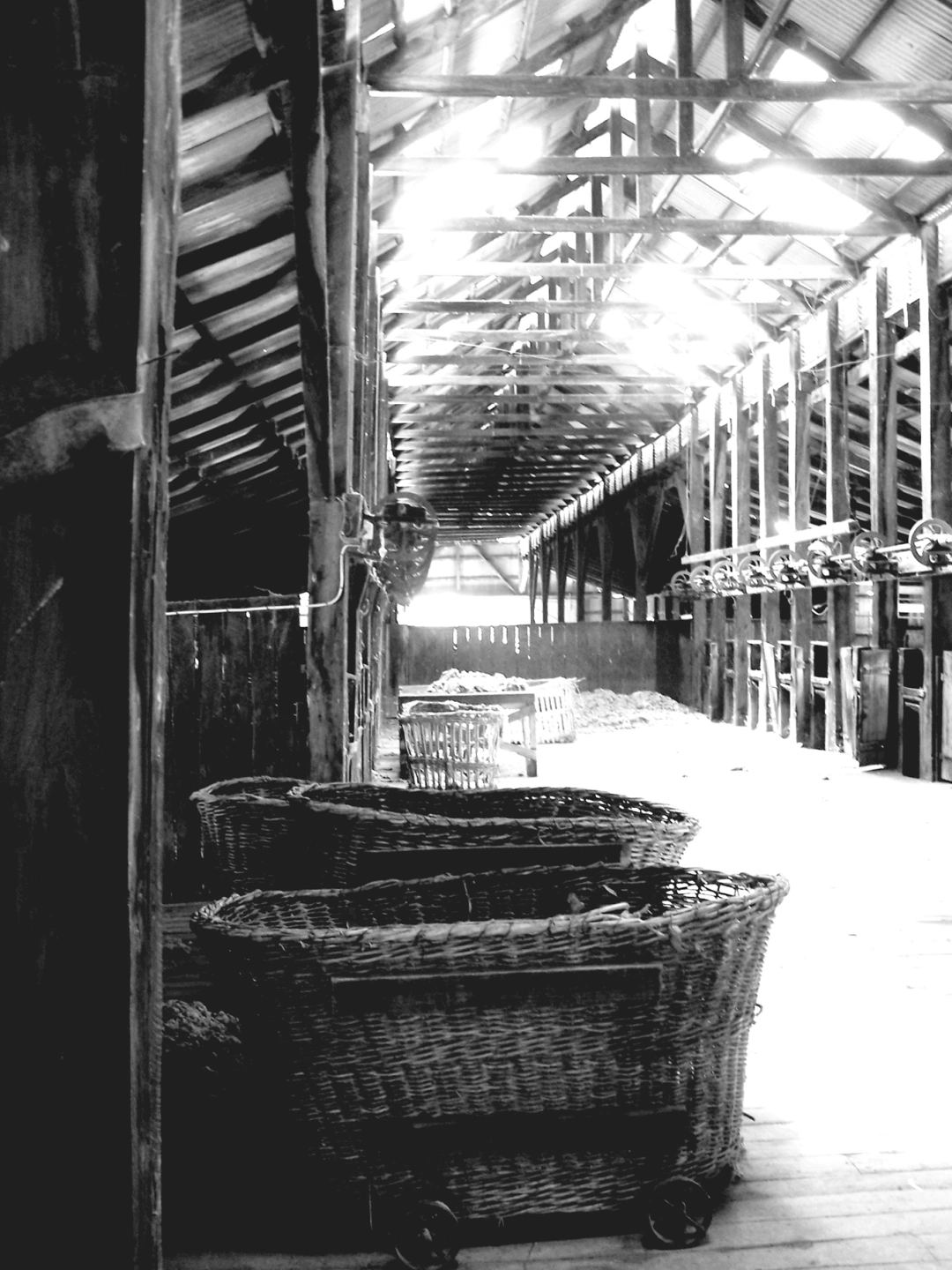 Perricoota Wool Shed 2007_BW1b.jpg