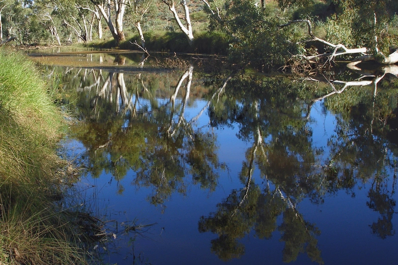 West MacDonnell National Park Australia Ellery Creek.jpg