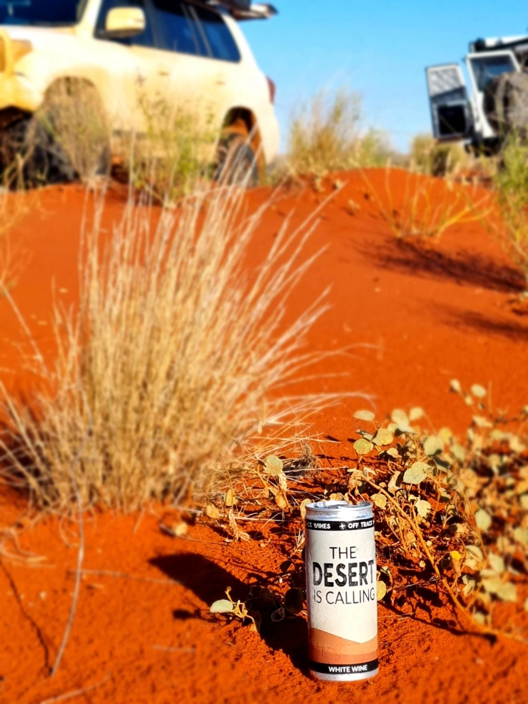 cold morning in desert frost on can.jpg