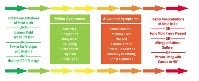 Healthandmould.png