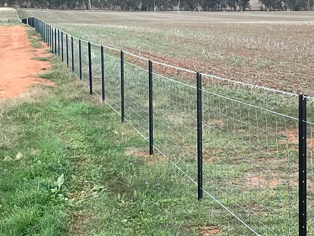 long fence black pickets.webp