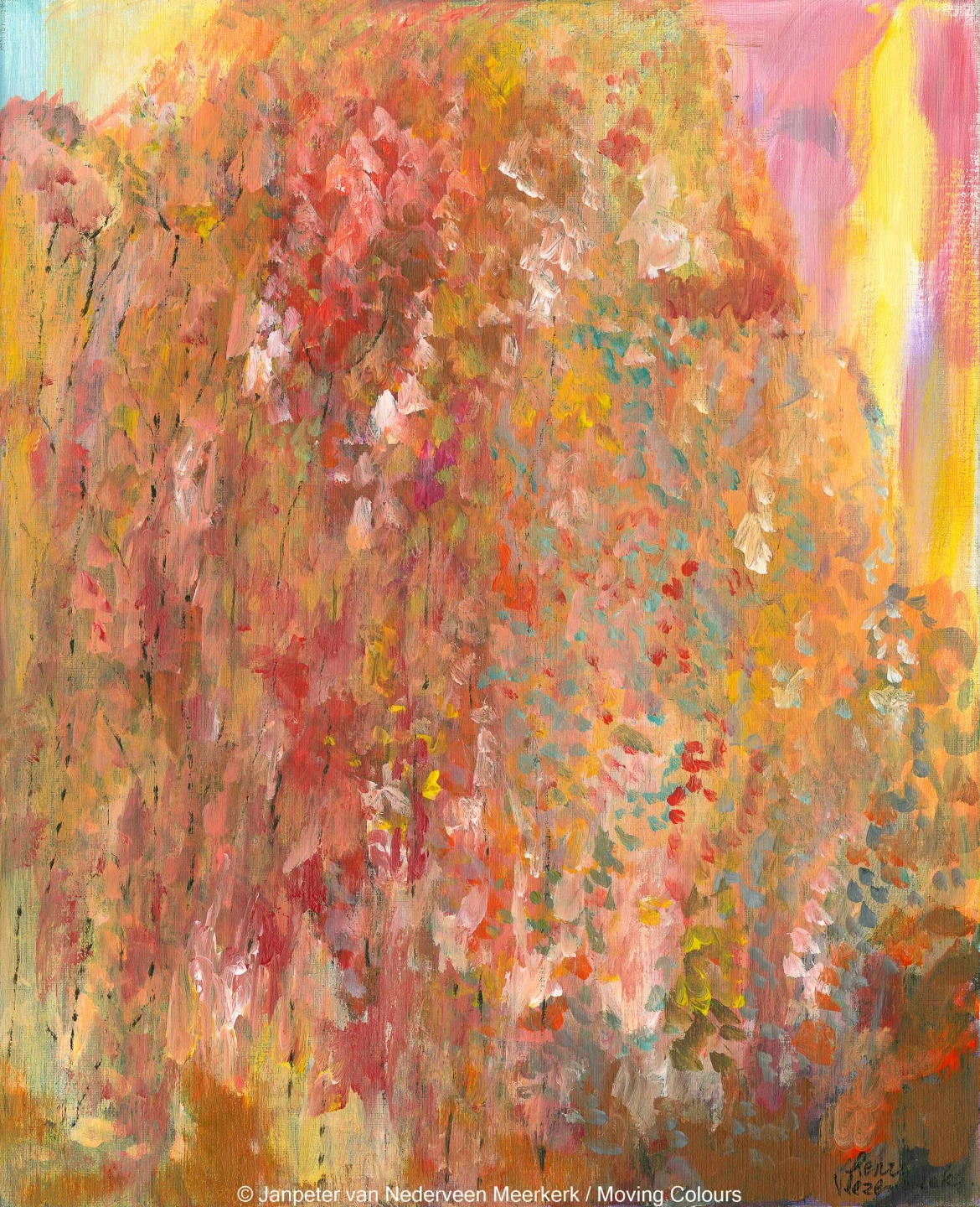 carousel-3.jpg