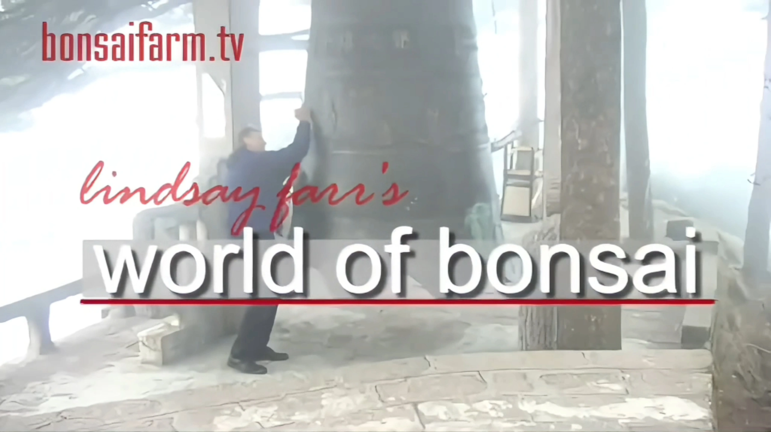 Explore Our YouTube Channel