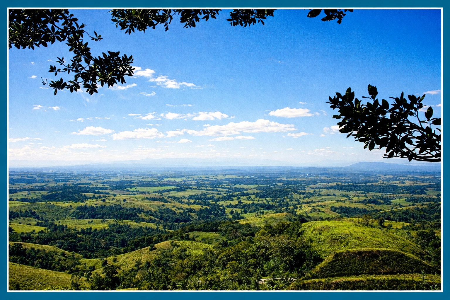 Who is Hummingbird Homecare