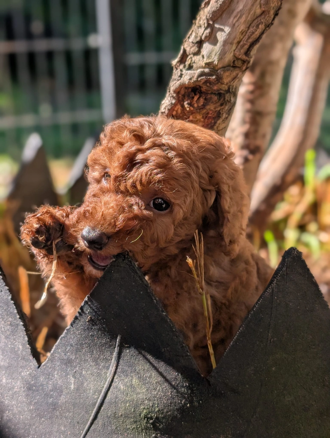 WhatsApp Image 2026-04-08 at 8.00.26 PM 2.jpeg