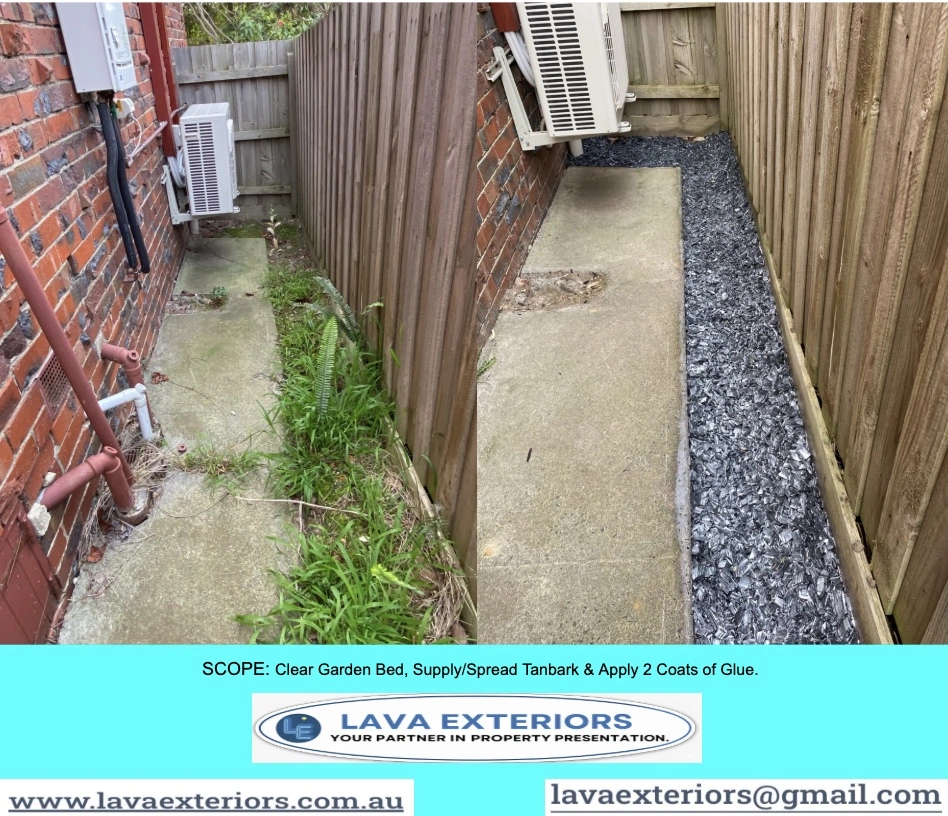 Box Hill South.9.jpg