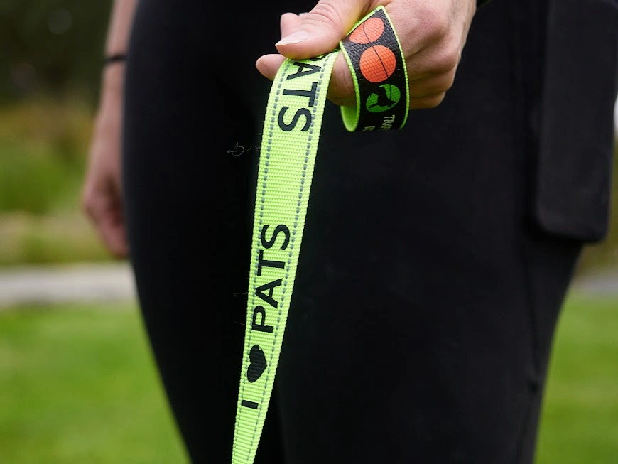 dogs and people 154.jpg