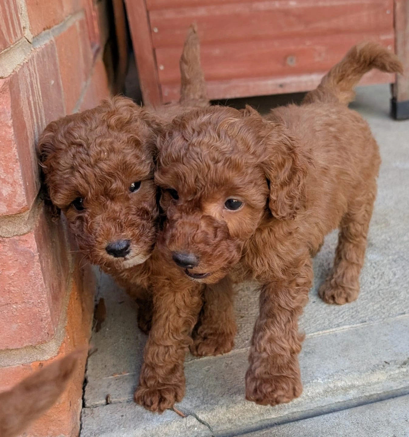 6 eeeks - 2026-03-31 at 5.09.36 PM 3.jpeg