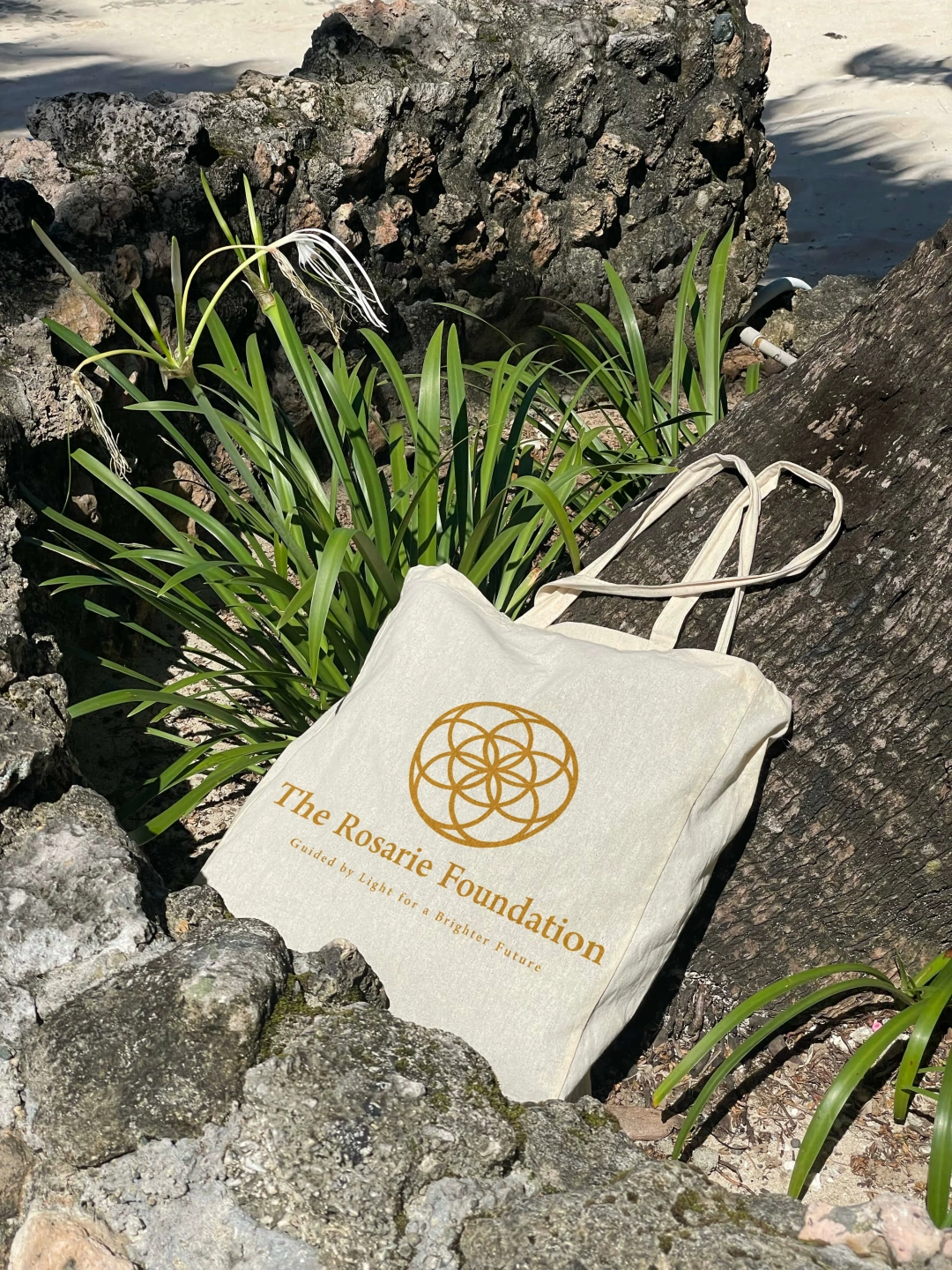 TRF bag 2'.jpg
