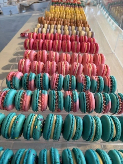 Macarons in a Row.jpg