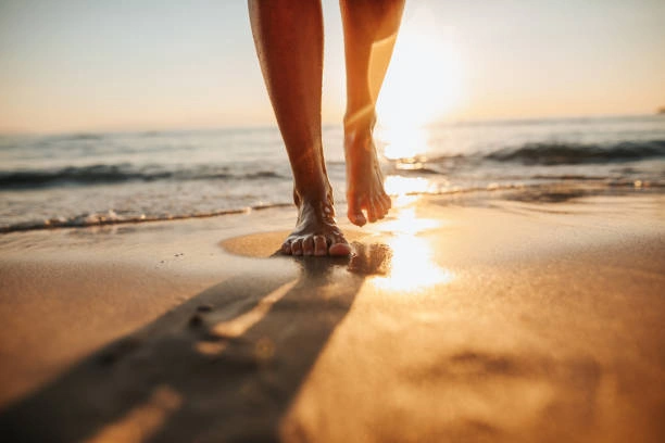 istockphoto-1255512214-612x612.jpg