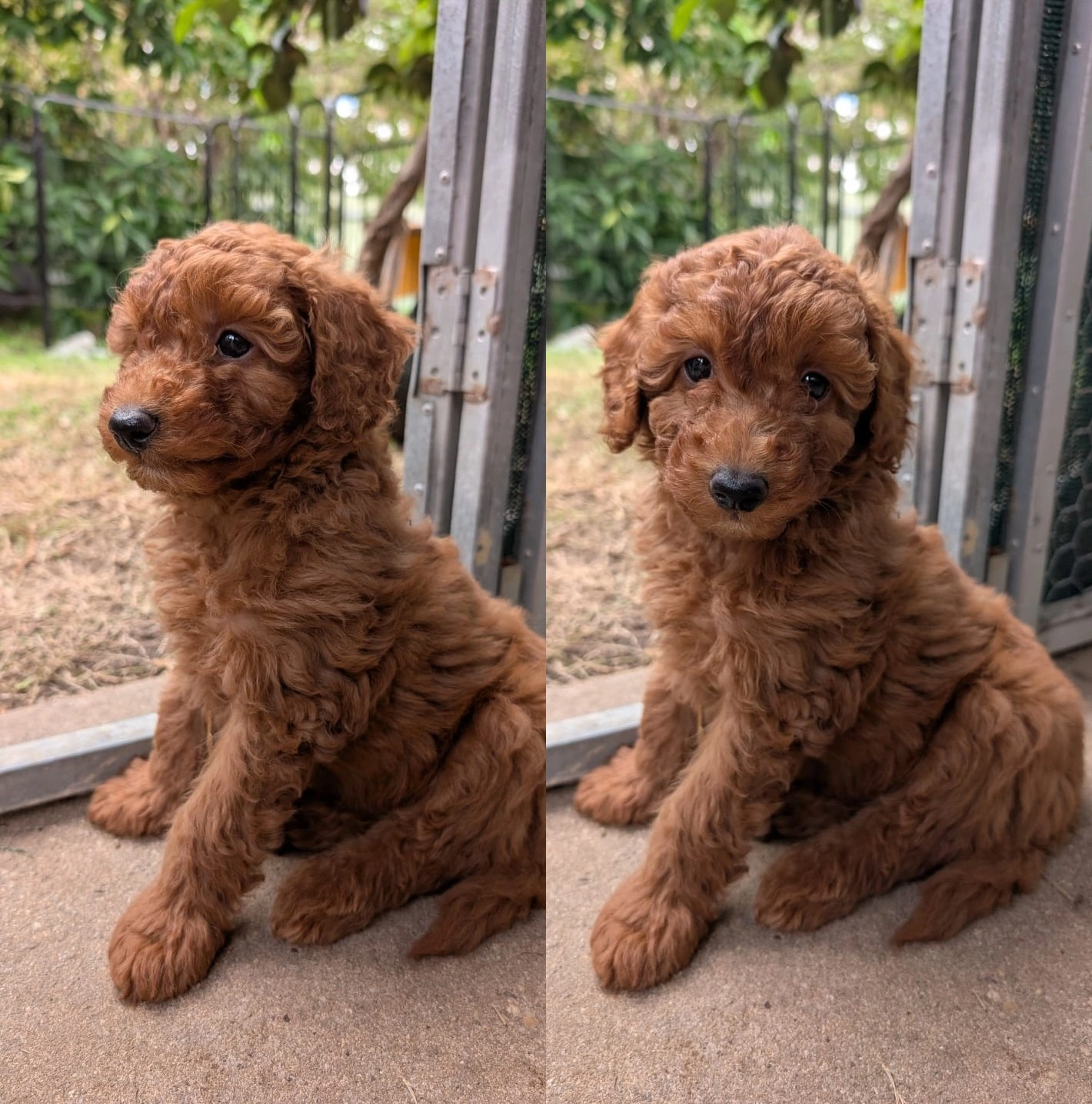 7 weeks - M5 - 2026-04-13.jpg