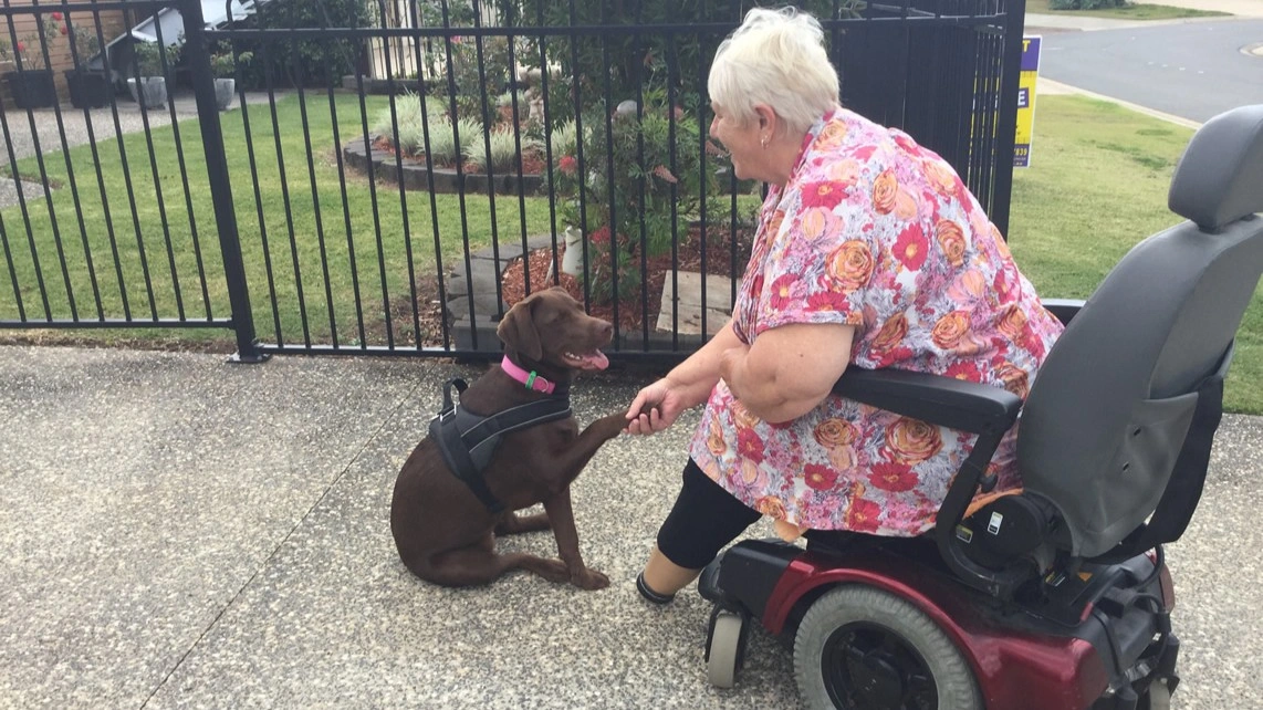 Recieved_Aug_25_2015_IMG_0405 2.jpeg