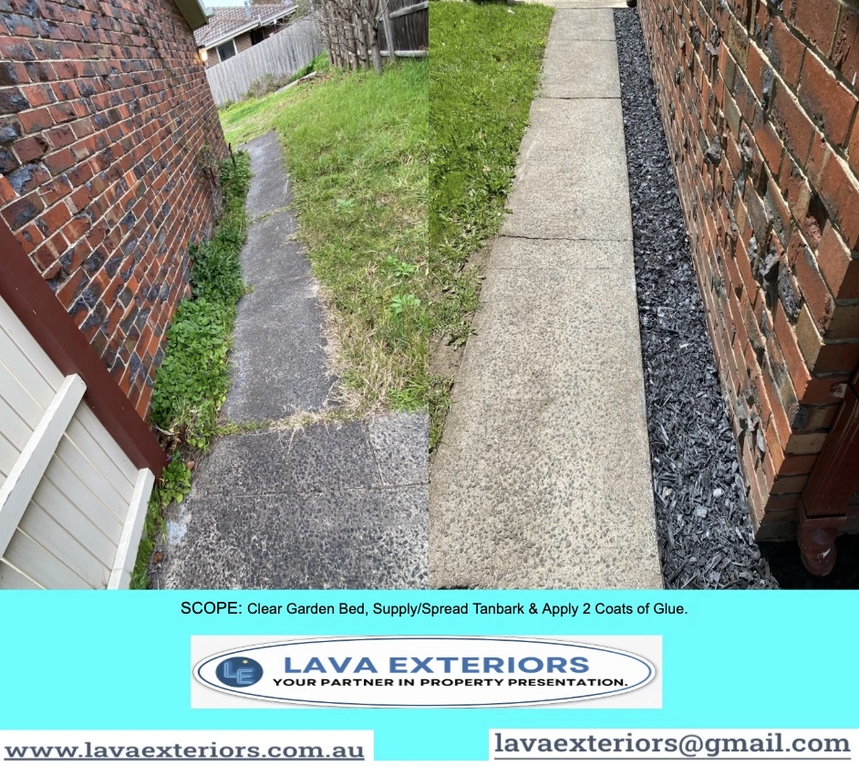 Box Hill South.3.jpg