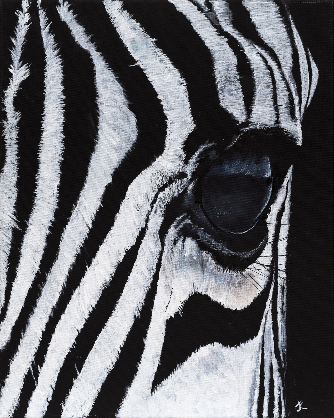 ZEBRAS_HEAD.jpg