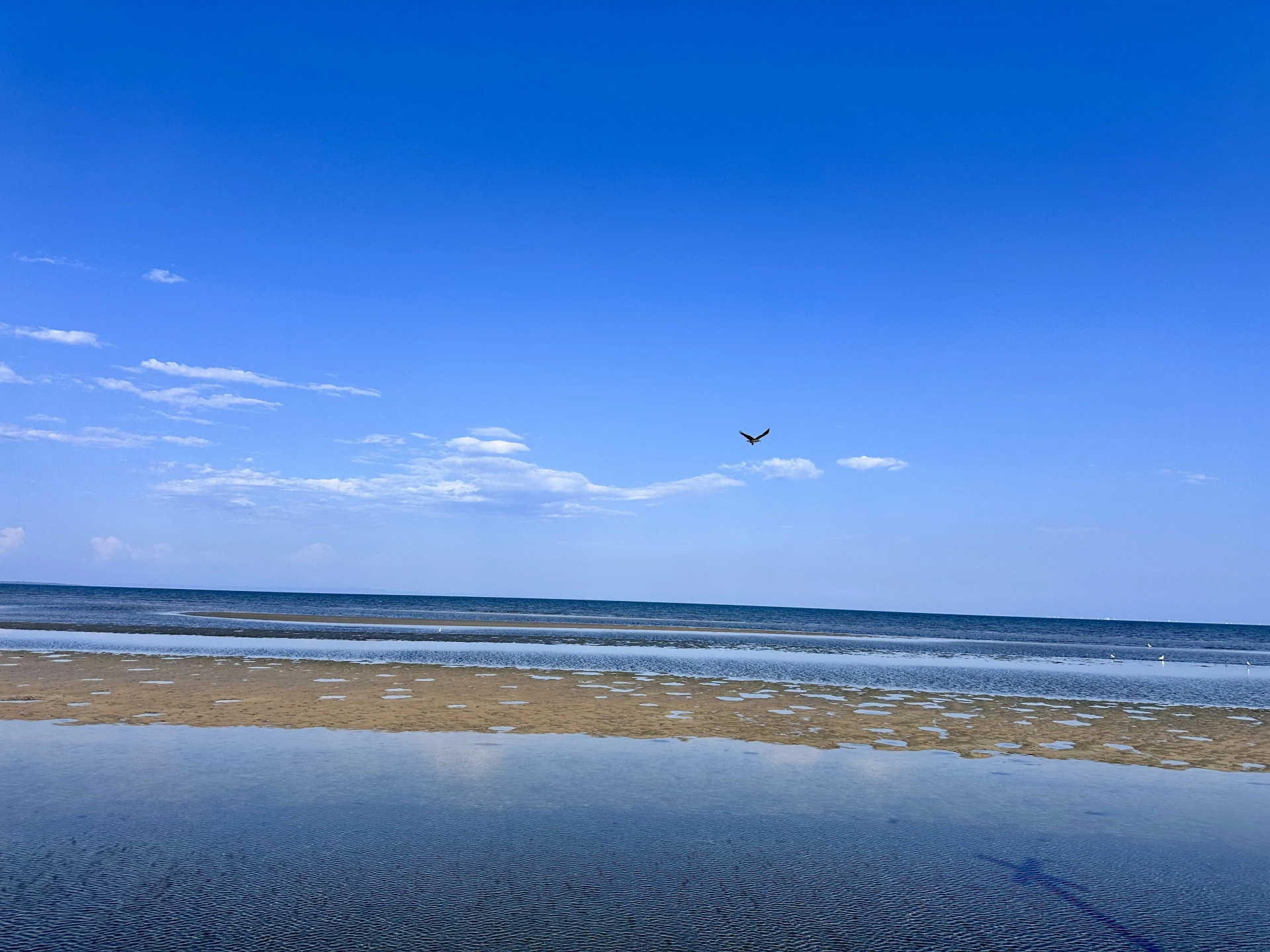 IMG_7768.jpg