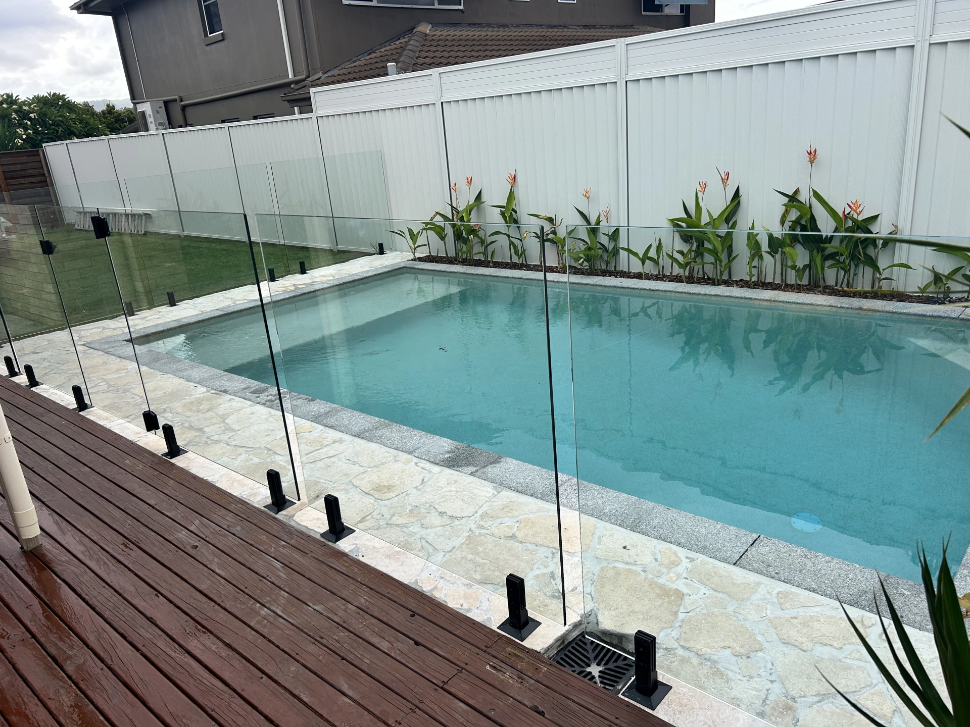 Frameless Glass Pool Fencing Black Spigots.JPG