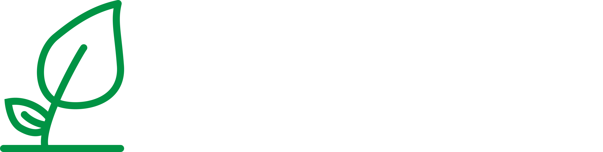 Organic State Media