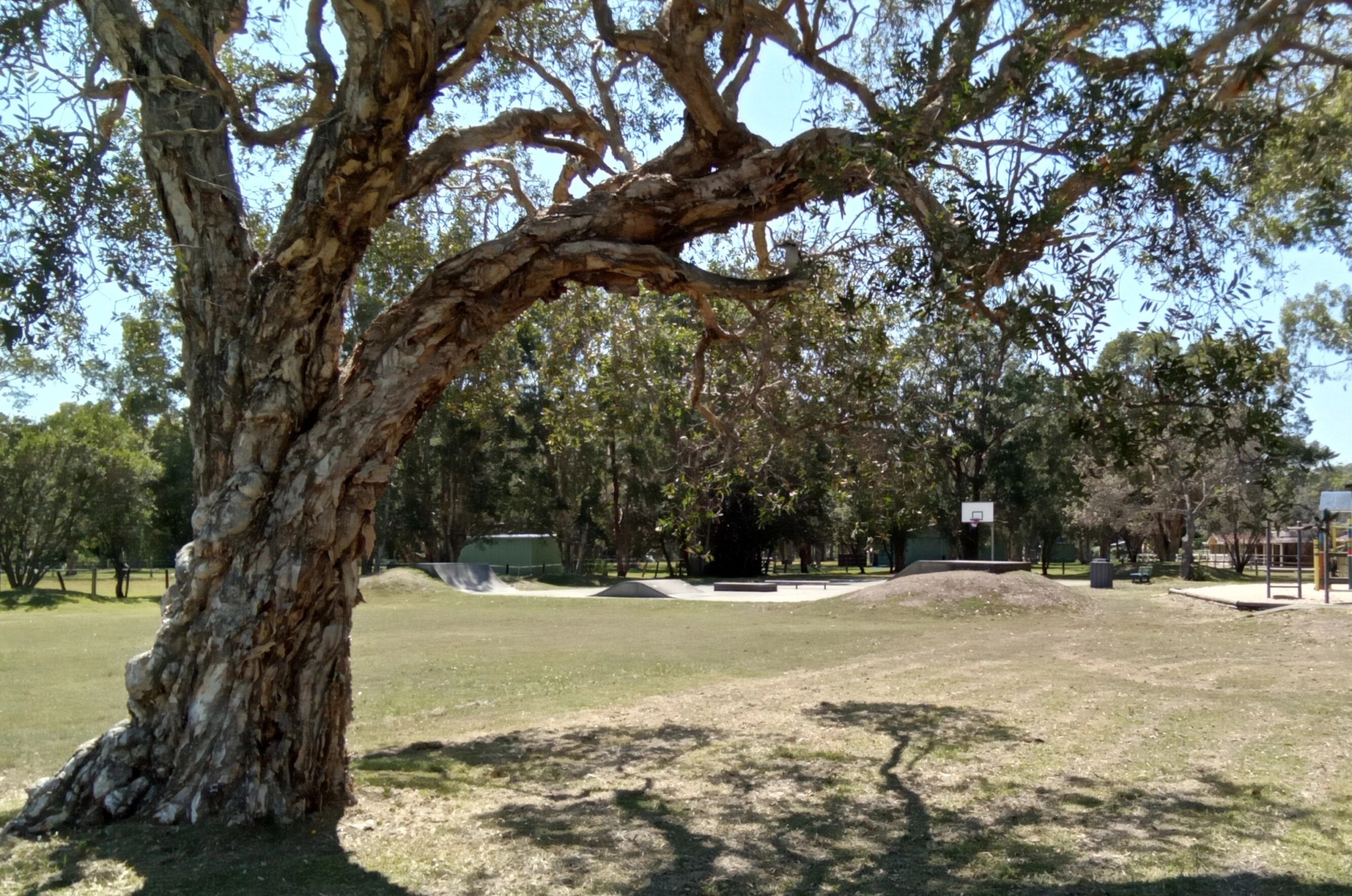 GPCC Skatepark and Field 5.jpg