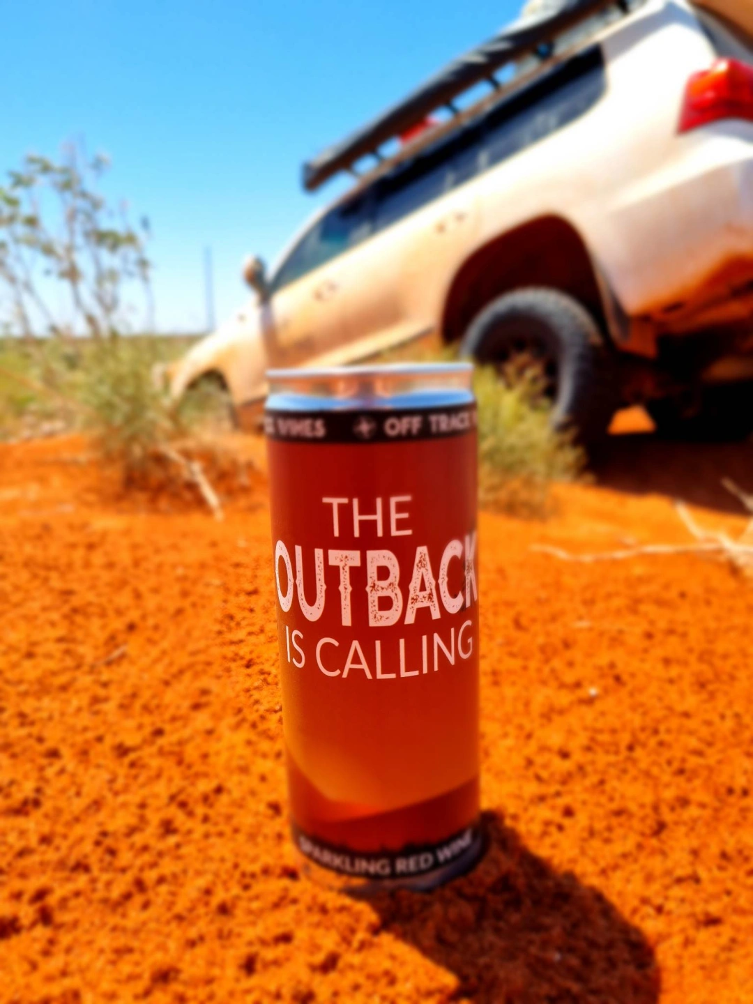 outback with thor in background.jpg