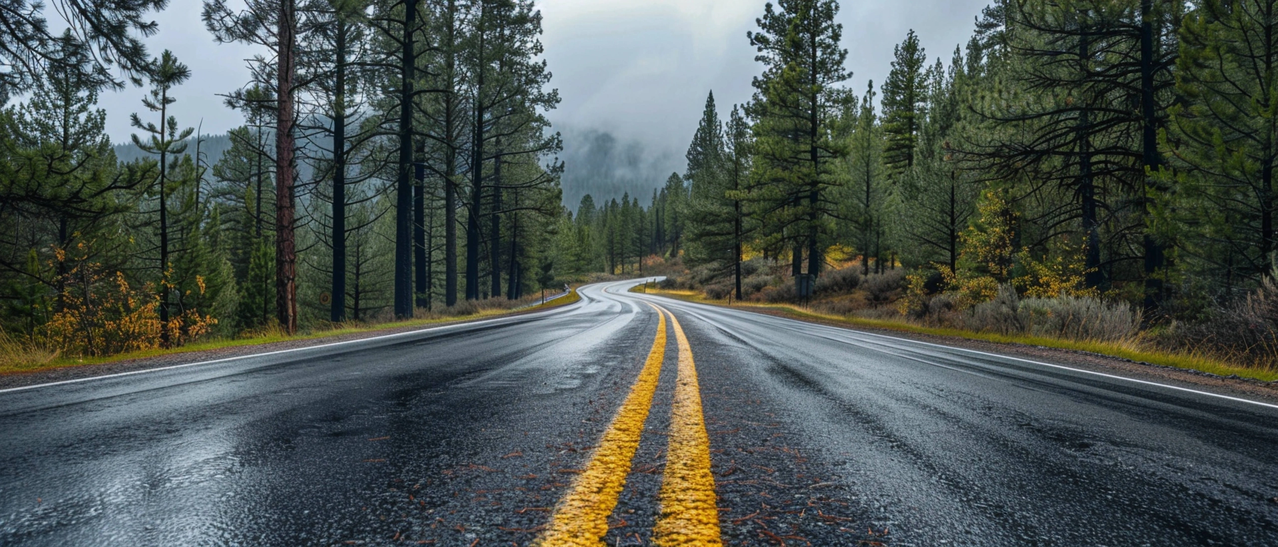 Asalbic image for website.jpg