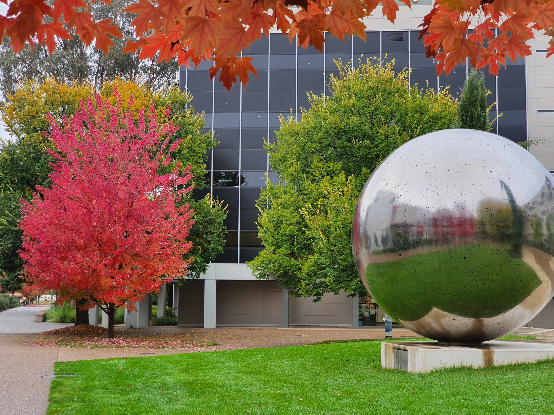 Star sculpture_Courtyard_Autumn_Tree(3).jpg