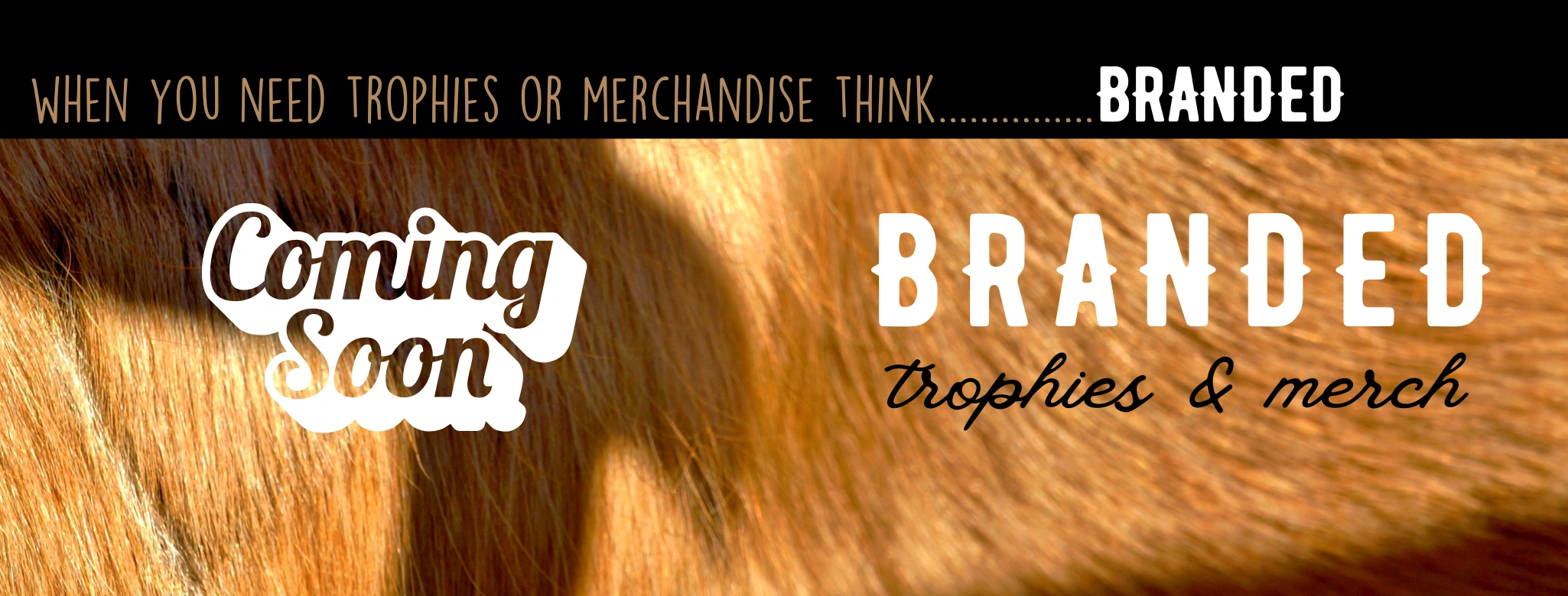 Branded Logo Profile (7).png