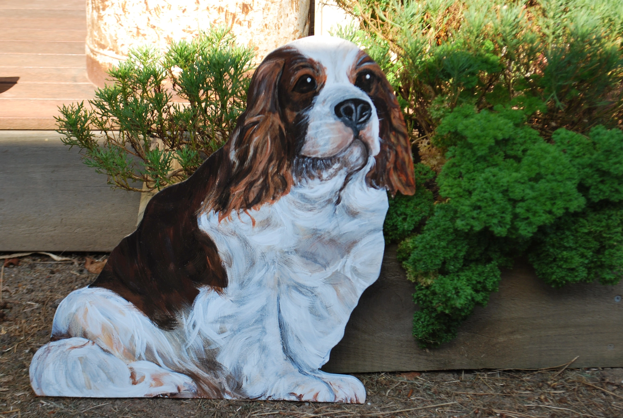 King Charles Spaniel (Brown and White).JPG