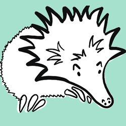 ECHIDNA HUT OCCUPATIONAL THERAPY