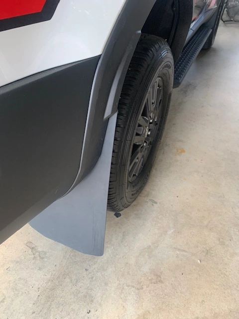 Prado 250 Small Rear.jpg