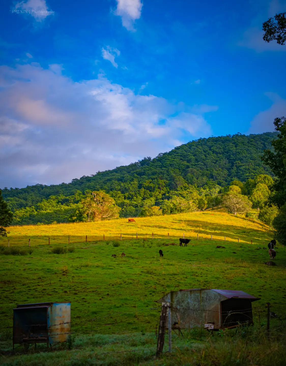 nimbincountry1-1.jpg